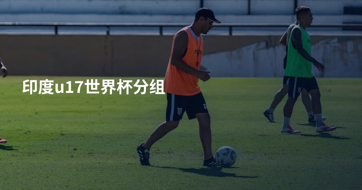 印度u17世界杯分组