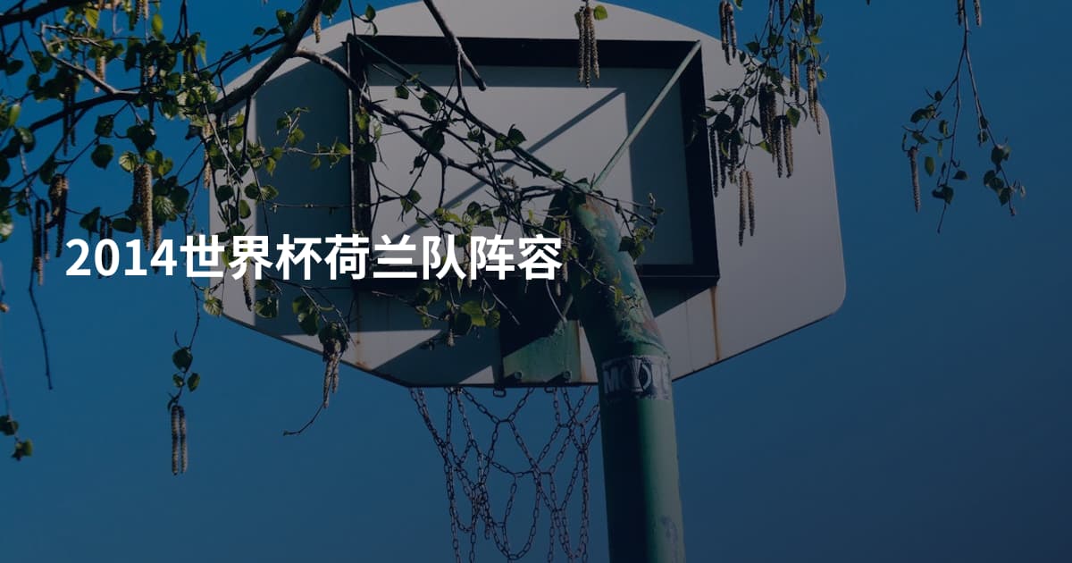 2014世界杯荷兰队阵容