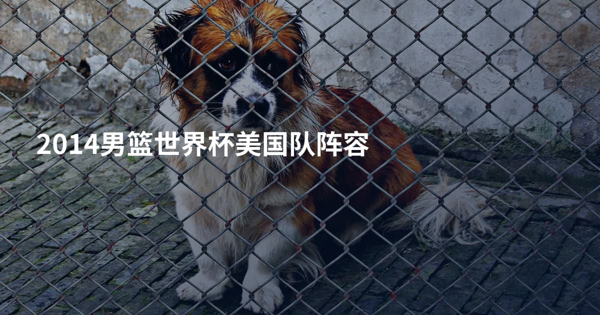 2014男篮世界杯美国队阵容