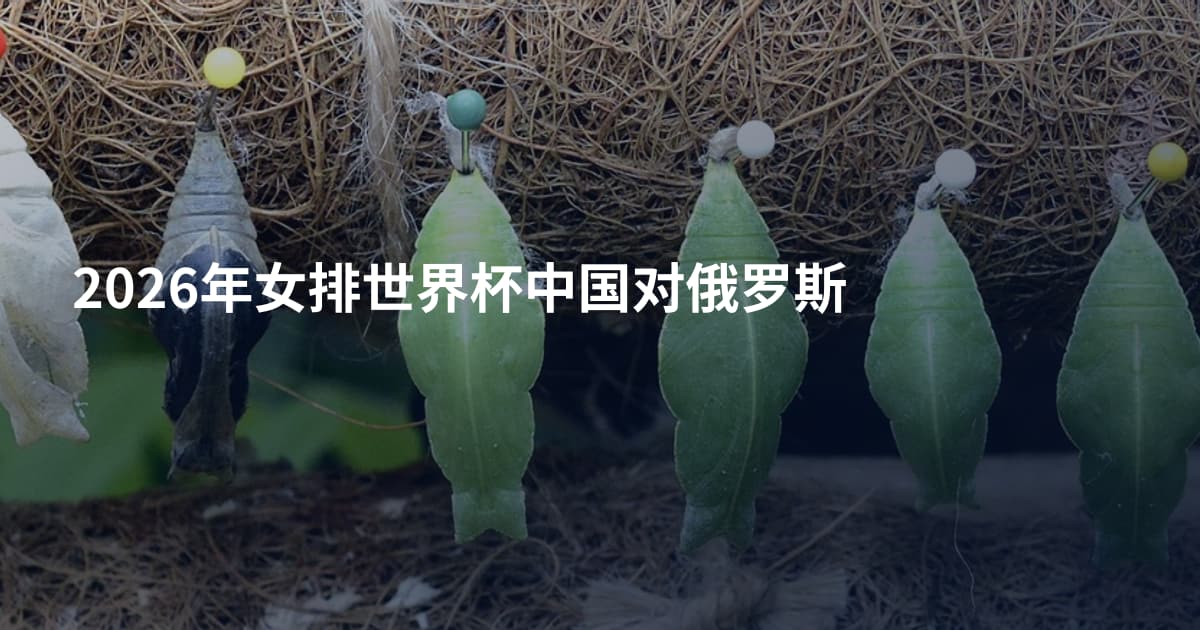2026年女排世界杯中国对俄罗斯