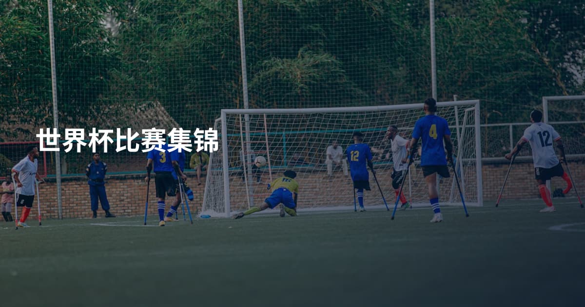 世界杯比赛集锦
