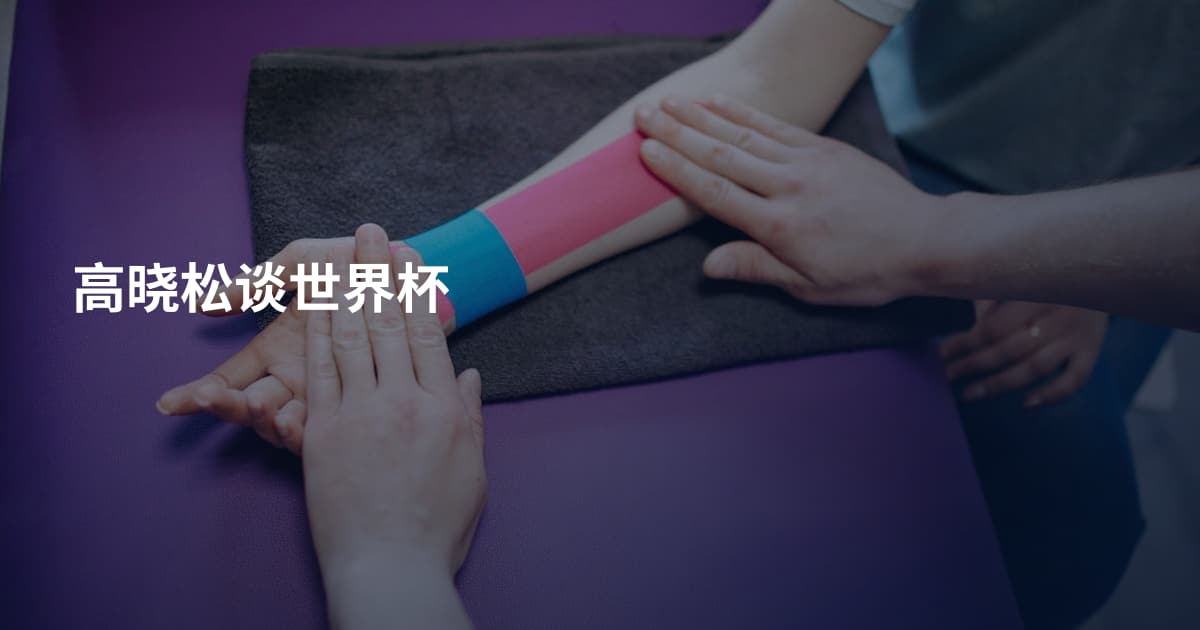 高晓松谈世界杯