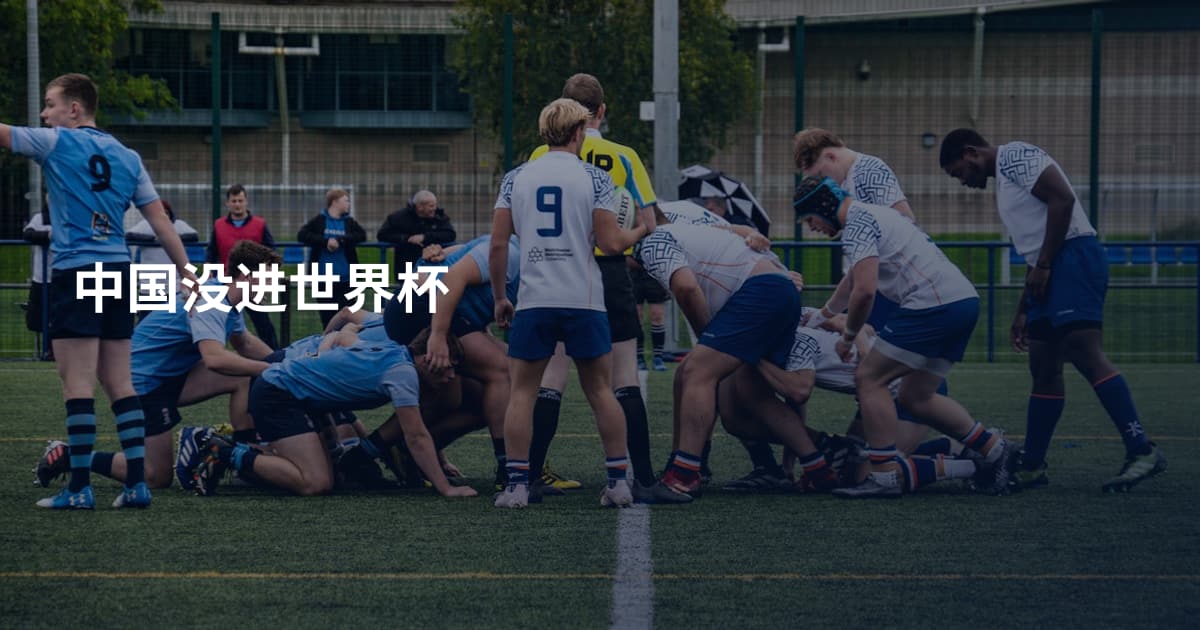 中国没进世界杯