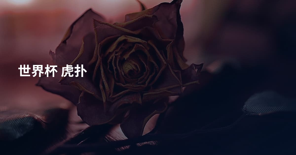 世界杯 虎扑
