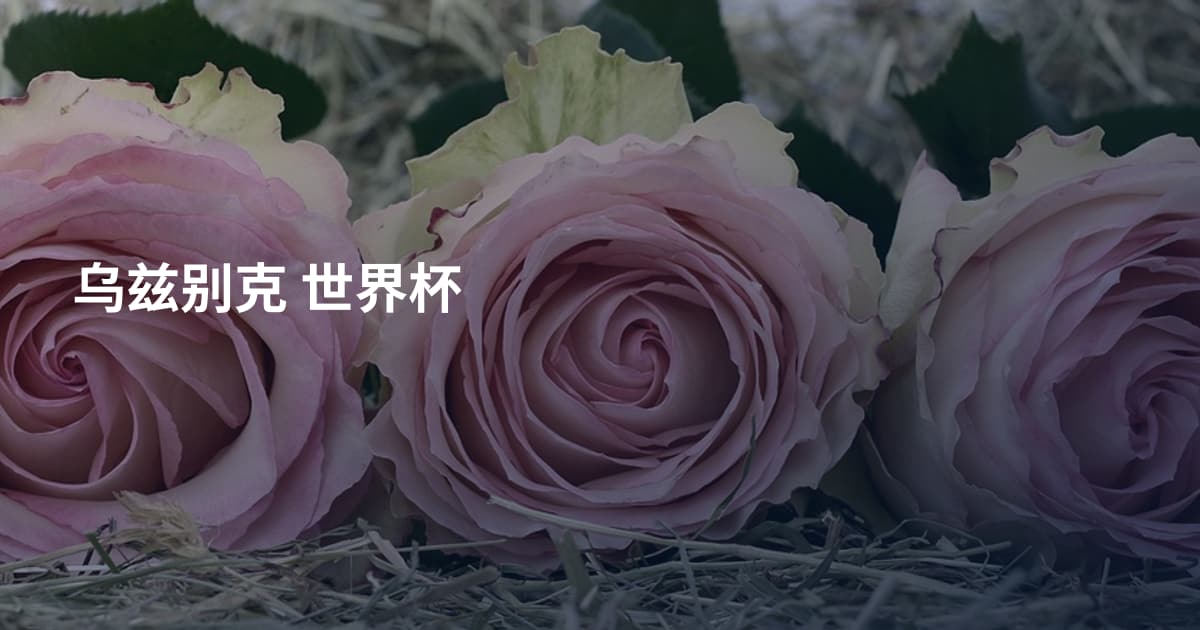 乌兹别克 世界杯