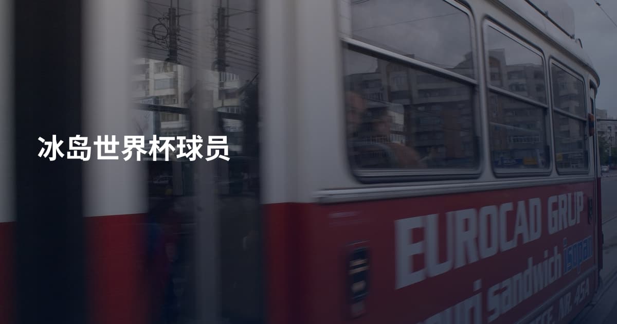冰岛世界杯球员