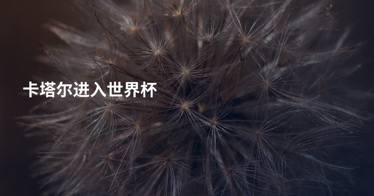 卡塔尔进入世界杯