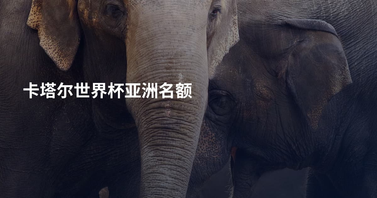 卡塔尔世界杯亚洲名额