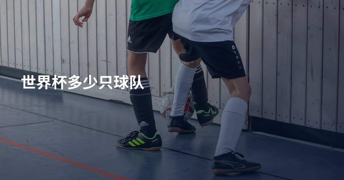 世界杯多少只球队
