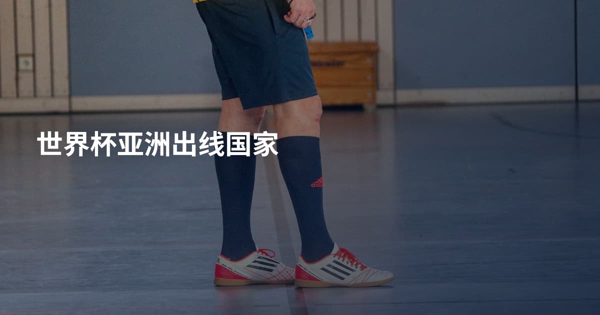世界杯亚洲出线国家