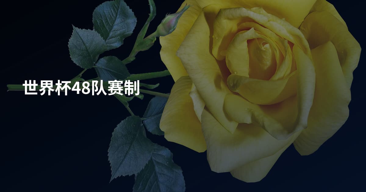 世界杯48队赛制