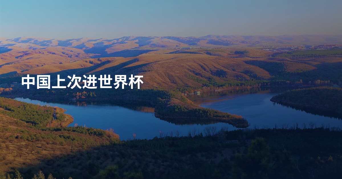 中国上次进世界杯
