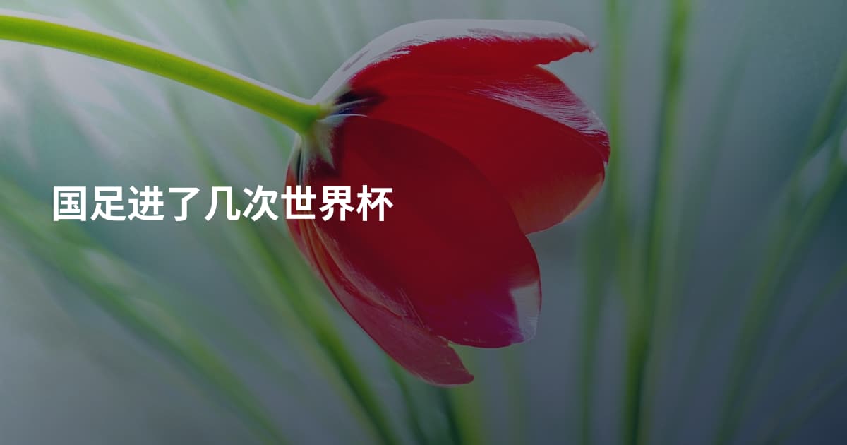 国足进了几次世界杯