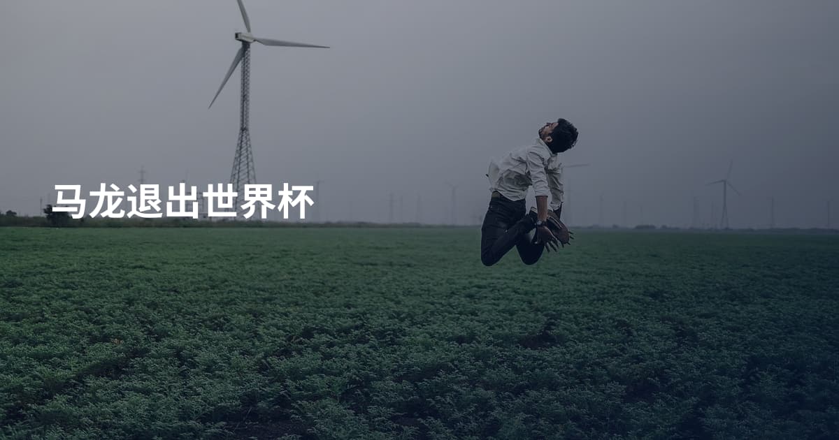 马龙退出世界杯