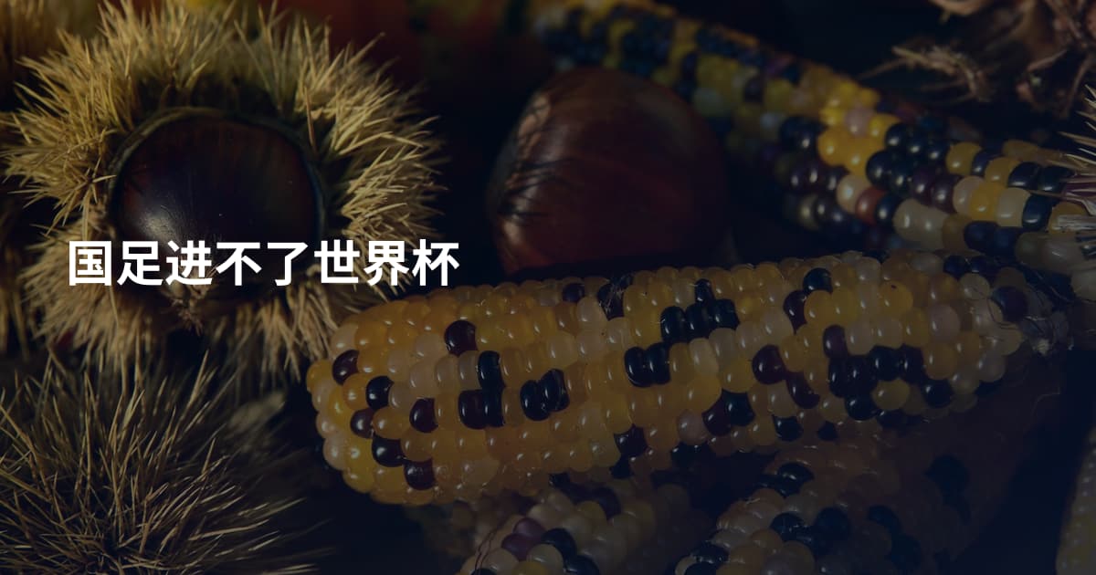 国足进不了世界杯