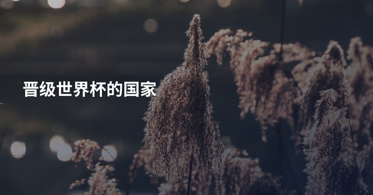 晋级世界杯的国家