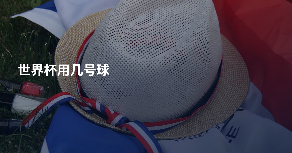 世界杯用几号球