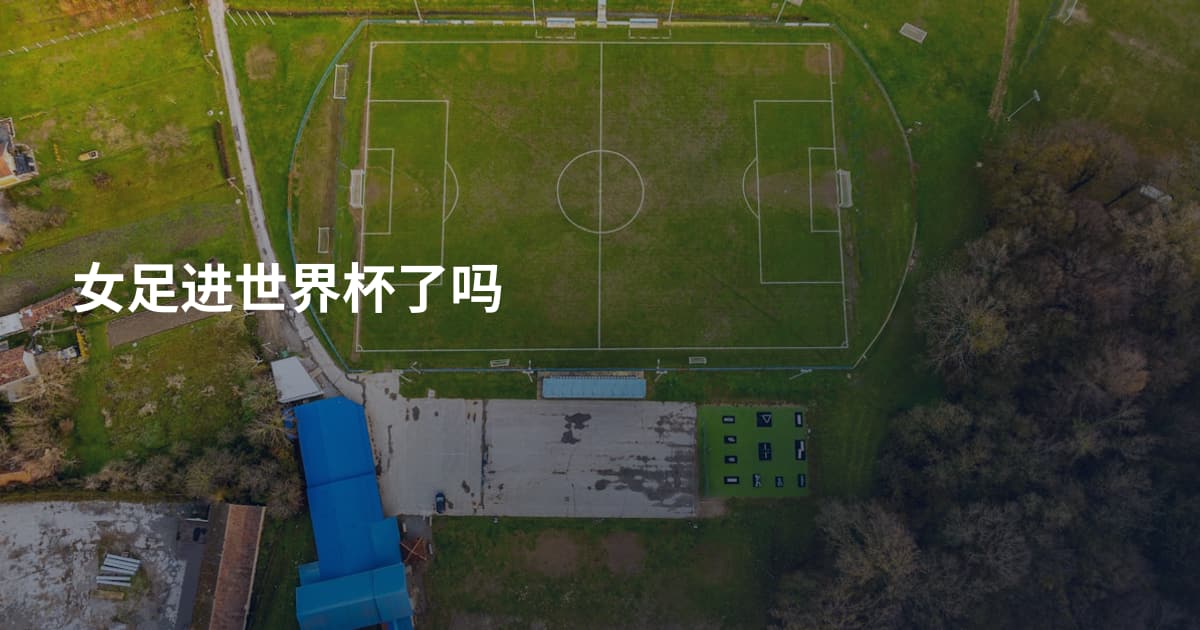 女足进世界杯了吗