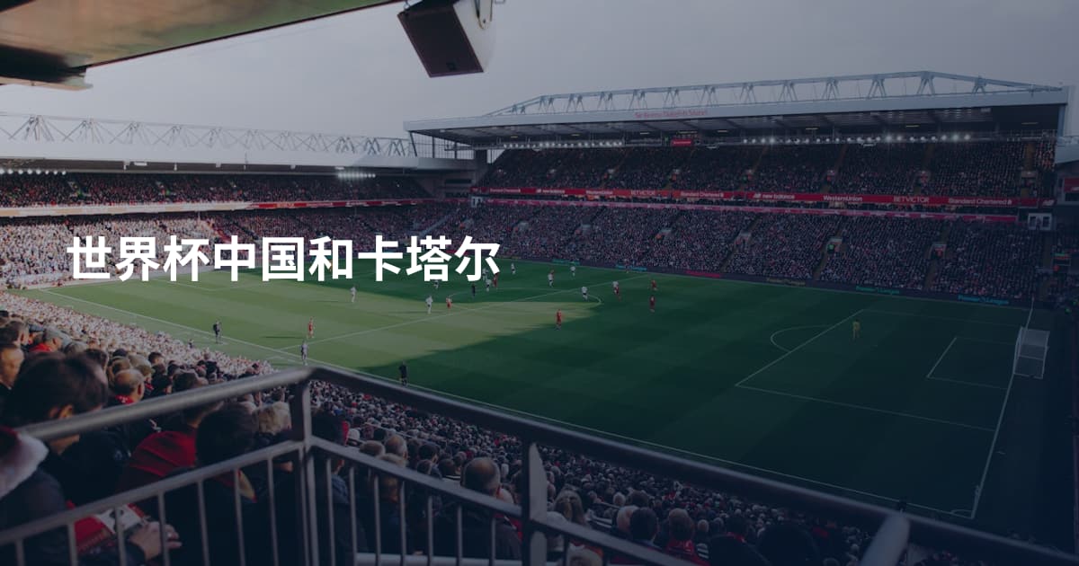 世界杯中国和卡塔尔