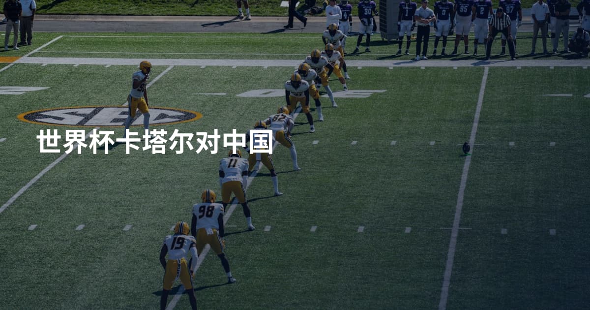 世界杯卡塔尔对中国