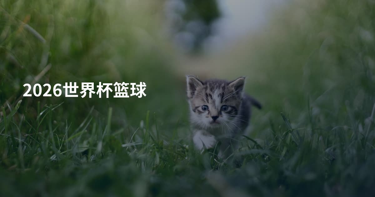 2026世界杯篮球