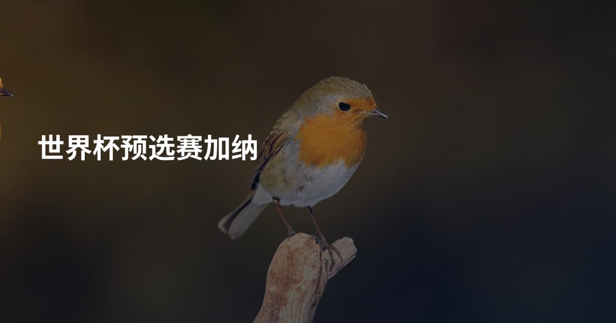 世界杯预选赛加纳