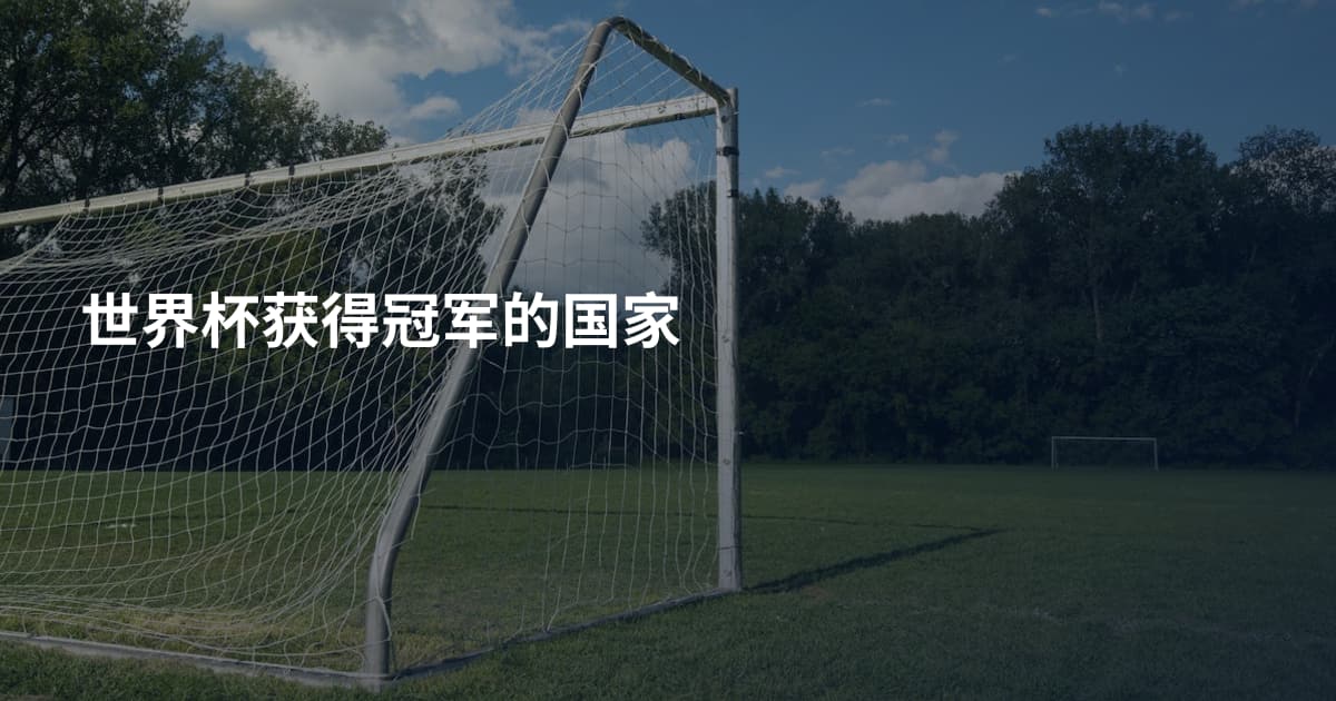 世界杯获得冠军的国家