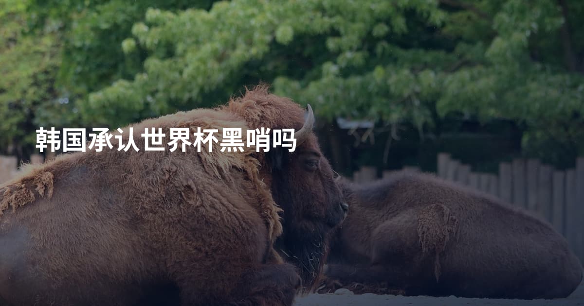 韩国承认世界杯黑哨吗