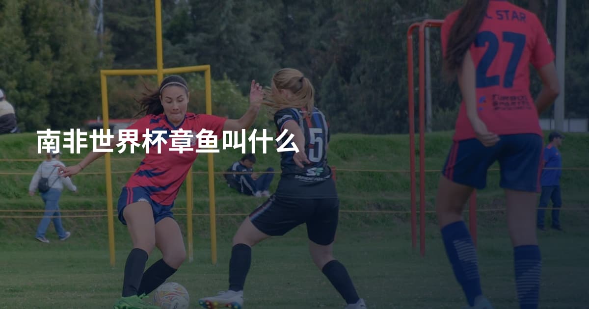 南非世界杯章鱼叫什么