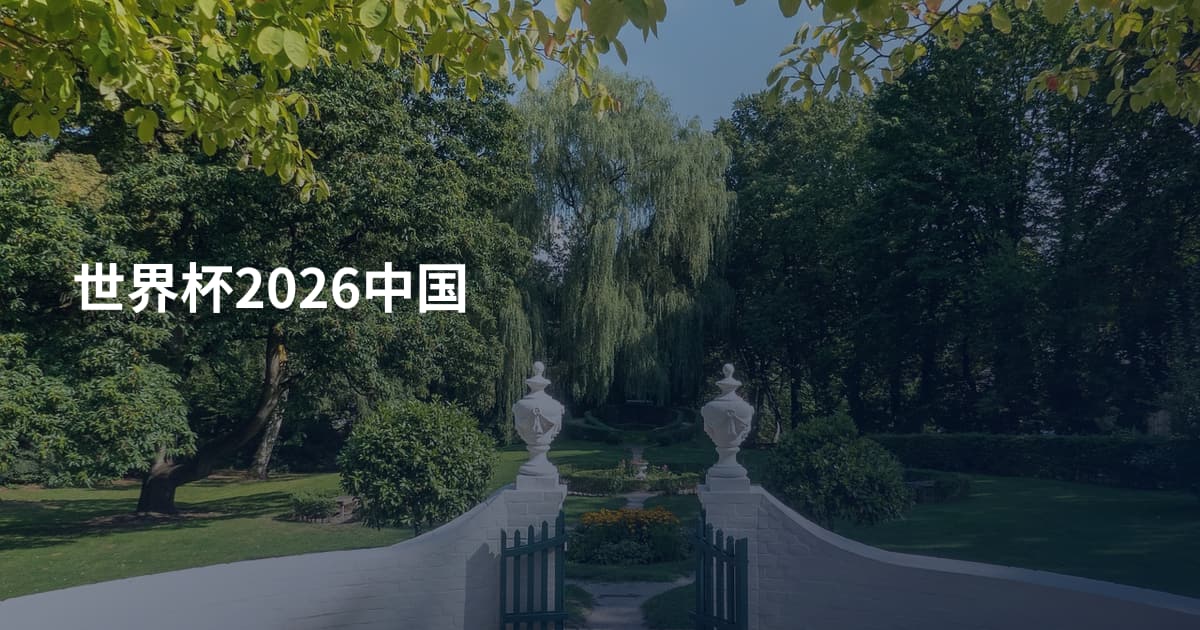 世界杯2026中国