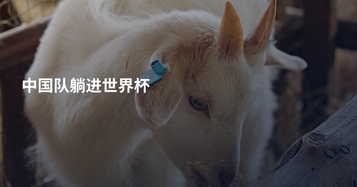 中国队躺进世界杯