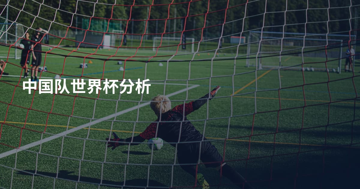 中国队世界杯分析