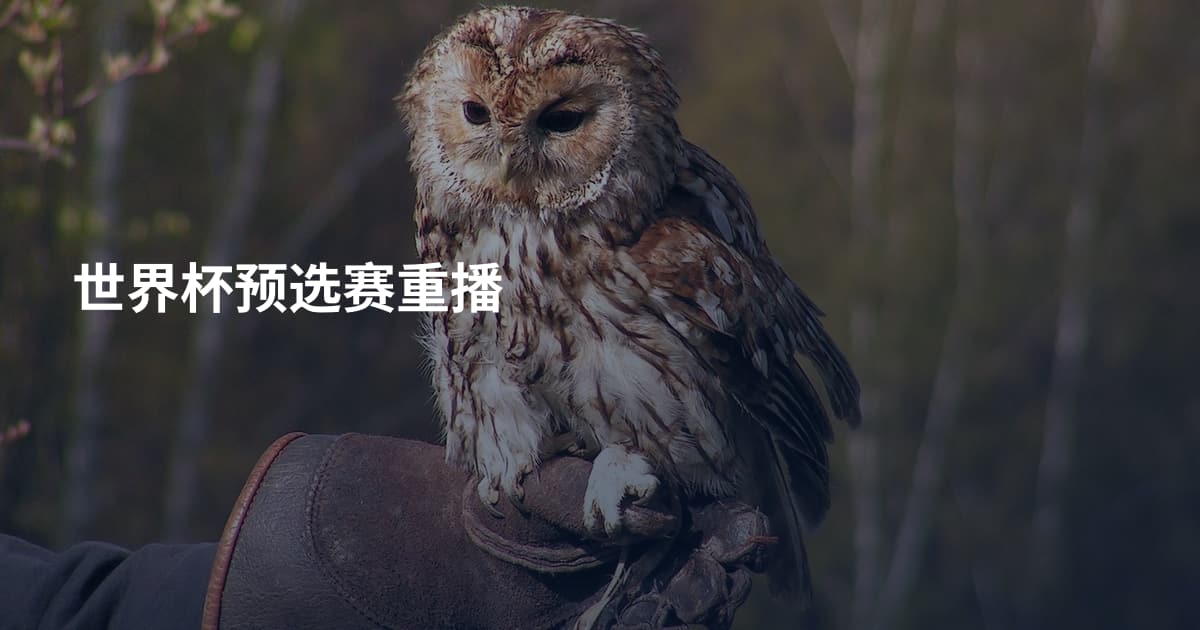 世界杯预选赛重播