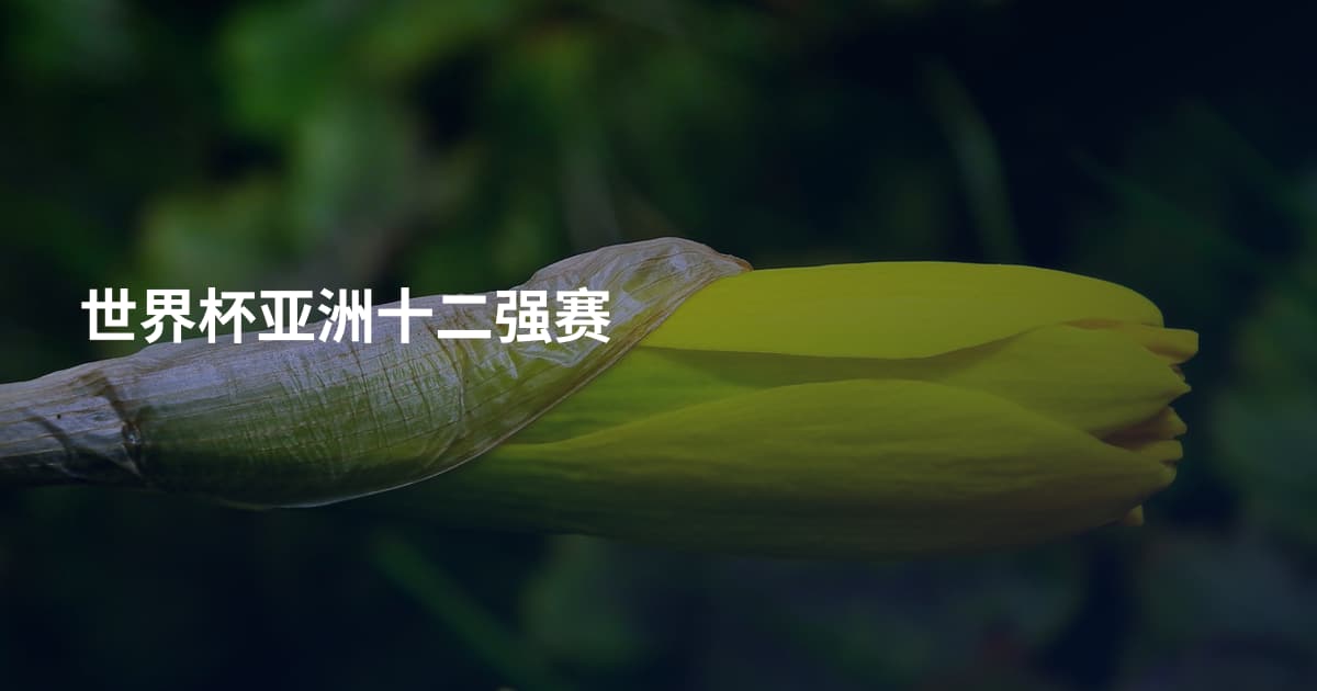 世界杯亚洲十二强赛