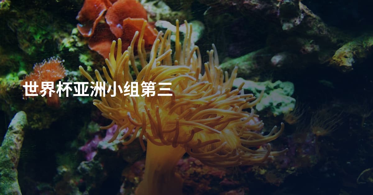 世界杯亚洲小组第三