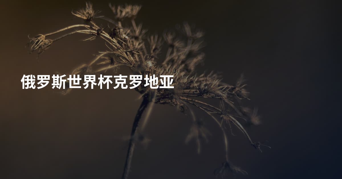 俄罗斯世界杯克罗地亚