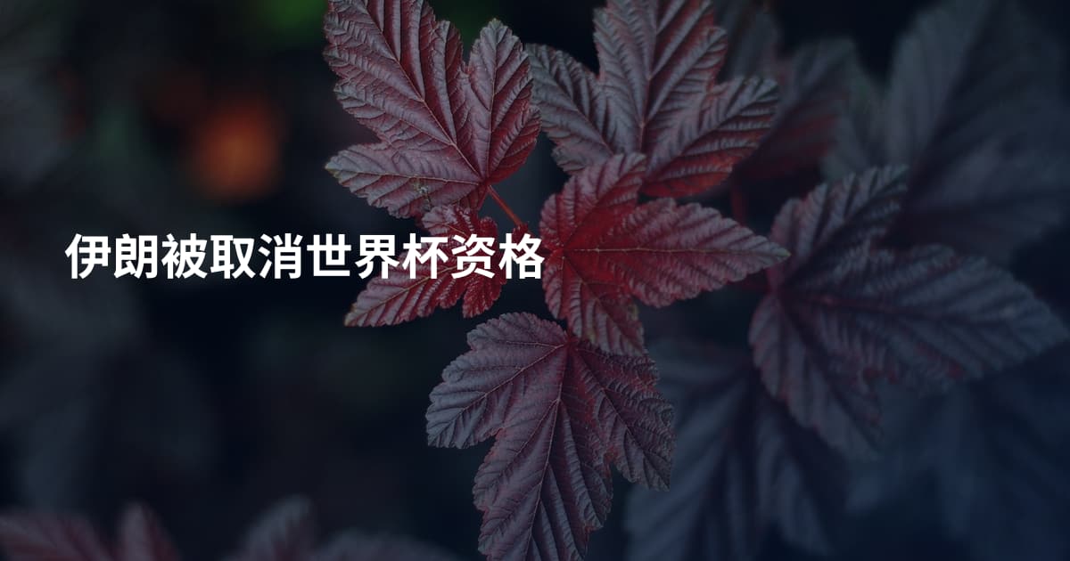 伊朗被取消世界杯资格