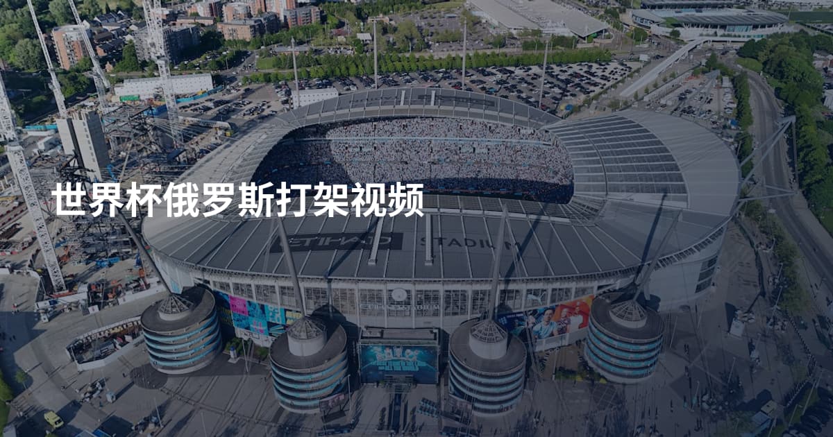 世界杯俄罗斯打架视频