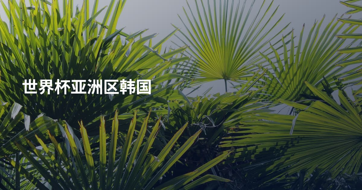 世界杯亚洲区韩国