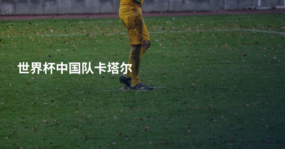 世界杯中国队卡塔尔