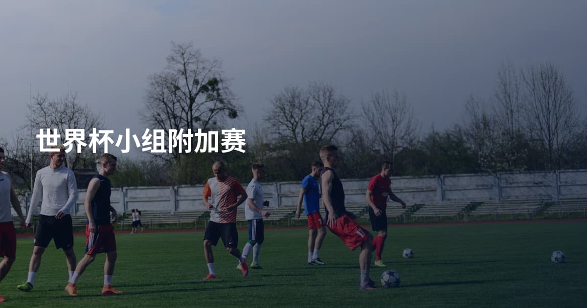 世界杯小组附加赛