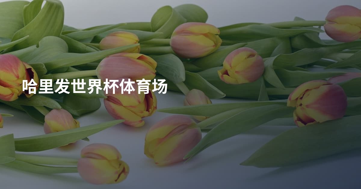 哈里发世界杯体育场