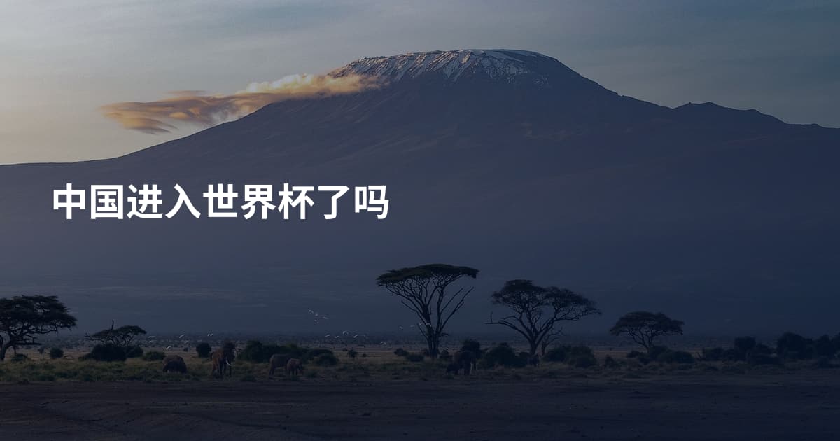 中国进入世界杯了吗