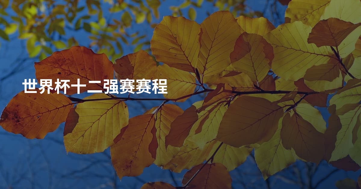 世界杯十二强赛赛程