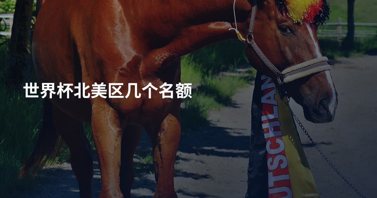 世界杯北美区几个名额