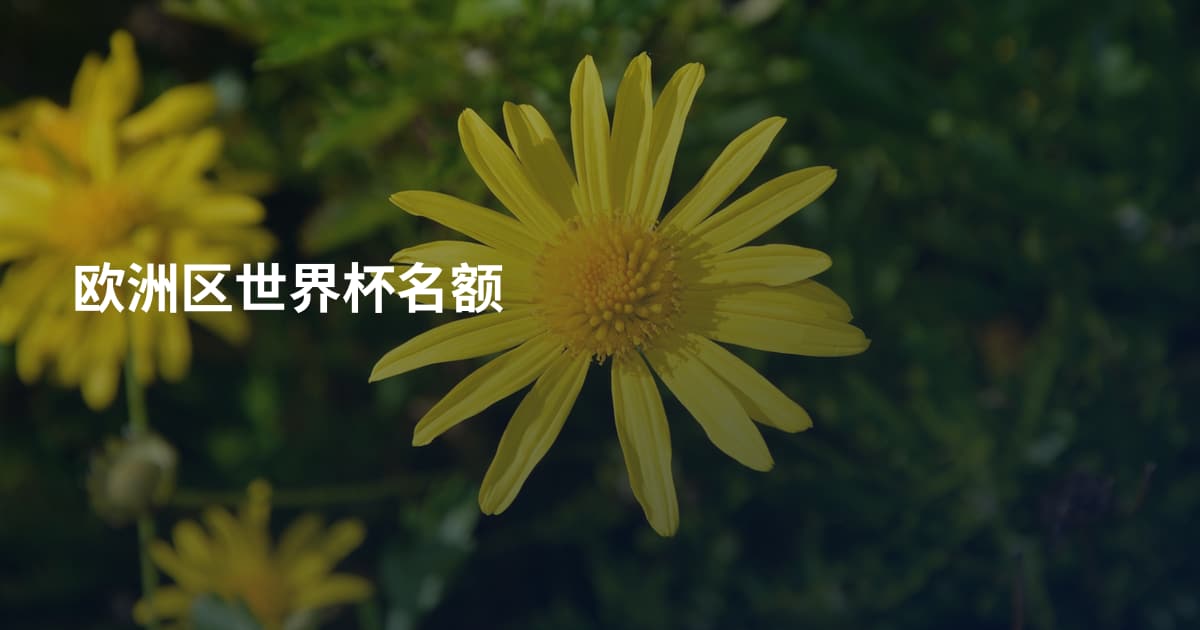 欧洲区世界杯名额