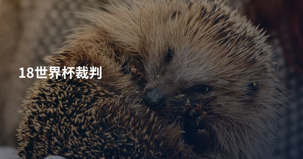 18世界杯裁判