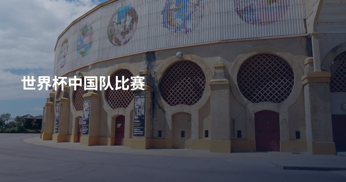 世界杯中国队比赛
