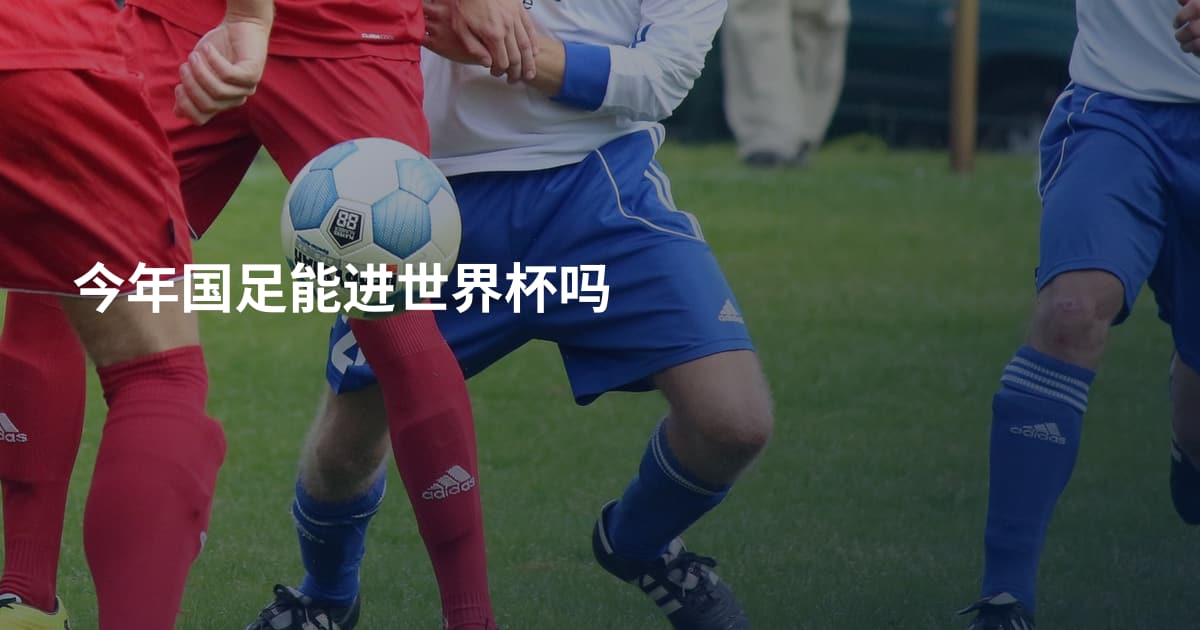 今年国足能进世界杯吗