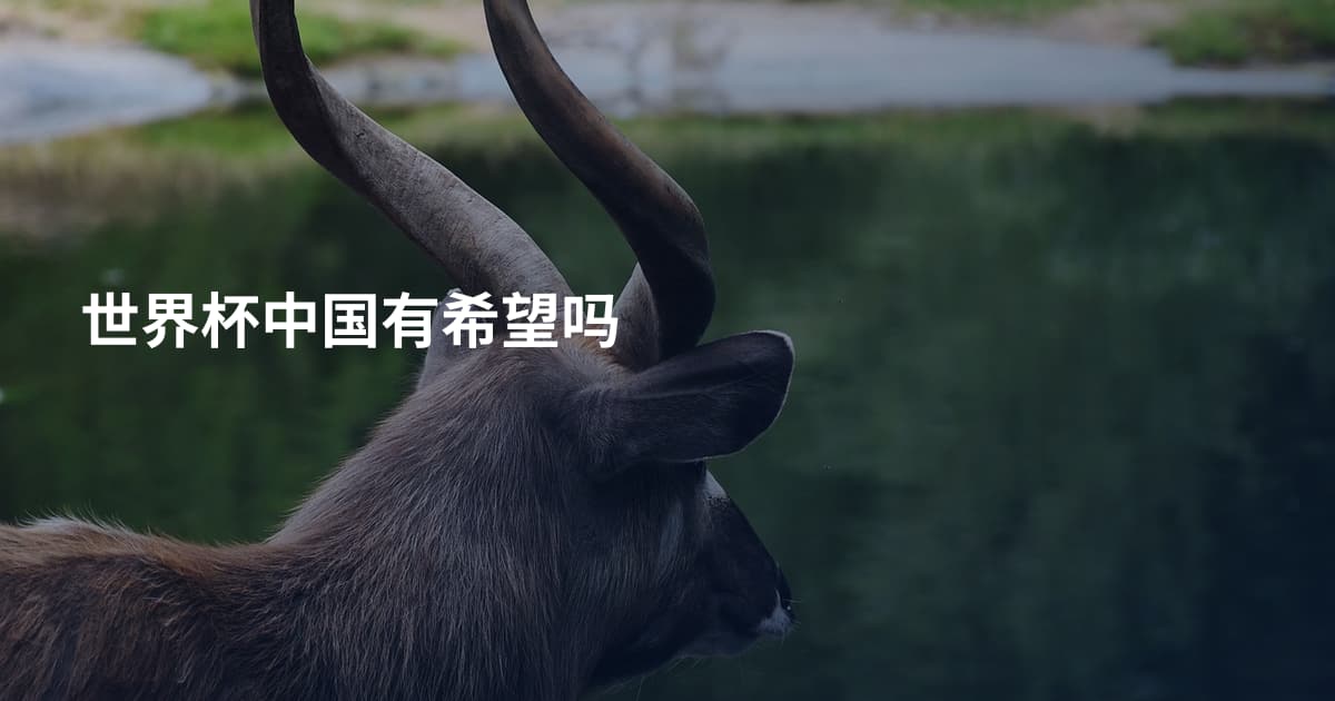世界杯中国有希望吗